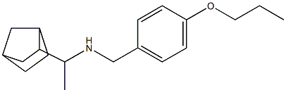 (1-{bicyclo[2.2.1]heptan-2-yl}ethyl)[(4-propoxyphenyl)methyl]amine Struktur