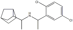 (1-{bicyclo[2.2.1]heptan-2-yl}ethyl)[1-(2,5-dichlorophenyl)ethyl]amine Struktur