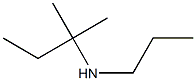 (2-methylbutan-2-yl)(propyl)amine Struktur