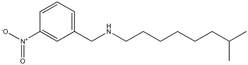 (7-methyloctyl)[(3-nitrophenyl)methyl]amine Struktur