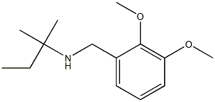 [(2,3-dimethoxyphenyl)methyl](2-methylbutan-2-yl)amine Struktur