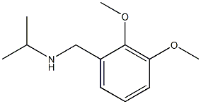 [(2,3-dimethoxyphenyl)methyl](propan-2-yl)amine Struktur