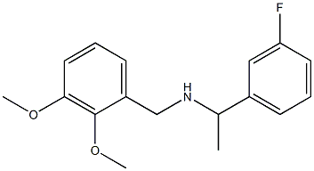 [(2,3-dimethoxyphenyl)methyl][1-(3-fluorophenyl)ethyl]amine Struktur