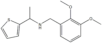 [(2,3-dimethoxyphenyl)methyl][1-(thiophen-2-yl)ethyl]amine Struktur