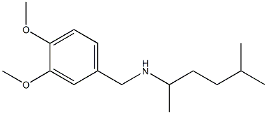 [(3,4-dimethoxyphenyl)methyl](5-methylhexan-2-yl)amine Struktur