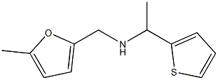 [(5-methylfuran-2-yl)methyl][1-(thiophen-2-yl)ethyl]amine Struktur