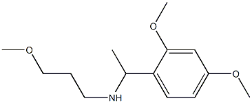 [1-(2,4-dimethoxyphenyl)ethyl](3-methoxypropyl)amine Struktur