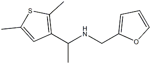 [1-(2,5-dimethylthiophen-3-yl)ethyl](furan-2-ylmethyl)amine Struktur