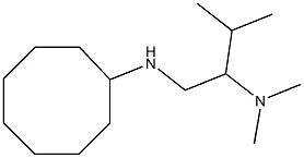 [1-(cyclooctylamino)-3-methylbutan-2-yl]dimethylamine Struktur