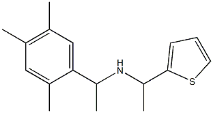 [1-(thiophen-2-yl)ethyl][1-(2,4,5-trimethylphenyl)ethyl]amine Struktur