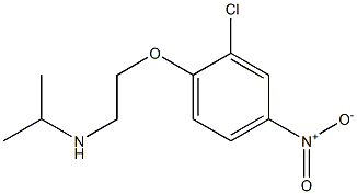 [2-(2-chloro-4-nitrophenoxy)ethyl](propan-2-yl)amine Struktur