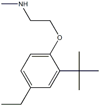 [2-(2-tert-butyl-4-ethylphenoxy)ethyl](methyl)amine Struktur