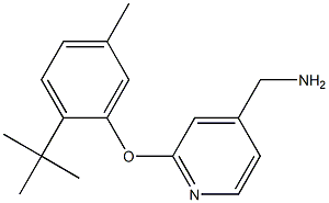 [2-(2-tert-butyl-5-methylphenoxy)pyridin-4-yl]methanamine Struktur