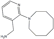 [2-(azocan-1-yl)pyridin-3-yl]methanamine Struktur