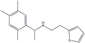 [2-(thiophen-2-yl)ethyl][1-(2,4,5-trimethylphenyl)ethyl]amine Struktur