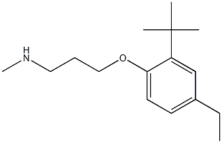 [3-(2-tert-butyl-4-ethylphenoxy)propyl](methyl)amine Struktur