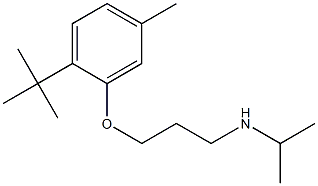 [3-(2-tert-butyl-5-methylphenoxy)propyl](propan-2-yl)amine Struktur