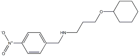 [3-(cyclohexyloxy)propyl][(4-nitrophenyl)methyl]amine Struktur