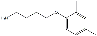 1-(4-aminobutoxy)-2,4-dimethylbenzene Struktur