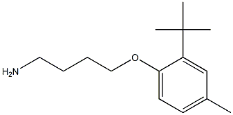 1-(4-aminobutoxy)-2-tert-butyl-4-methylbenzene Struktur