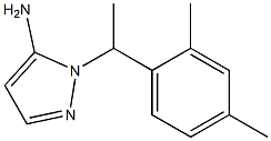 1-[1-(2,4-dimethylphenyl)ethyl]-1H-pyrazol-5-amine Struktur