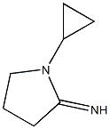 1-cyclopropylpyrrolidin-2-imine Struktur