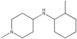 1-methyl-N-(2-methylcyclohexyl)piperidin-4-amine Struktur