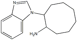 2-(1H-benzimidazol-1-yl)cyclooctanamine Struktur