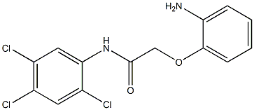 2-(2-aminophenoxy)-N-(2,4,5-trichlorophenyl)acetamide Struktur