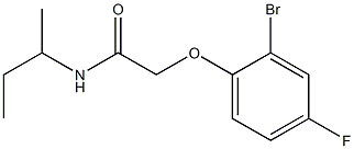 2-(2-bromo-4-fluorophenoxy)-N-(sec-butyl)acetamide Struktur