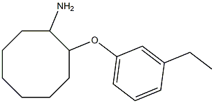 2-(3-ethylphenoxy)cyclooctan-1-amine Struktur