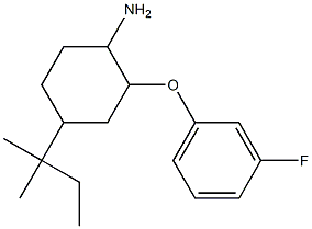 2-(3-fluorophenoxy)-4-(2-methylbutan-2-yl)cyclohexan-1-amine Struktur