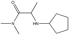 2-(cyclopentylamino)-N,N-dimethylpropanamide Struktur