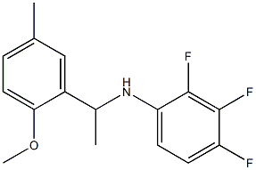 2,3,4-trifluoro-N-[1-(2-methoxy-5-methylphenyl)ethyl]aniline Struktur