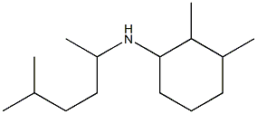 2,3-dimethyl-N-(5-methylhexan-2-yl)cyclohexan-1-amine Struktur