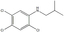 2,4,5-trichloro-N-(2-methylpropyl)aniline Struktur