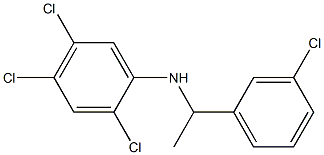 2,4,5-trichloro-N-[1-(3-chlorophenyl)ethyl]aniline Struktur