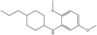 2,5-dimethoxy-N-(4-propylcyclohexyl)aniline Struktur