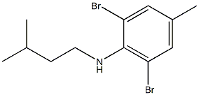 2,6-dibromo-4-methyl-N-(3-methylbutyl)aniline Struktur