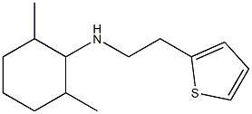 2,6-dimethyl-N-[2-(thiophen-2-yl)ethyl]cyclohexan-1-amine Struktur