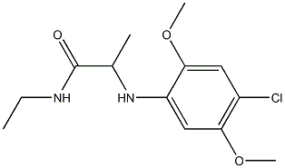 2-[(4-chloro-2,5-dimethoxyphenyl)amino]-N-ethylpropanamide Struktur