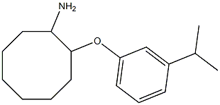  化學(xué)構(gòu)造式