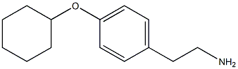 2-[4-(cyclohexyloxy)phenyl]ethan-1-amine Struktur