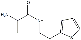 2-amino-N-(2-thien-2-ylethyl)propanamide Struktur