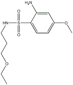 2-amino-N-(3-ethoxypropyl)-4-methoxybenzene-1-sulfonamide Struktur