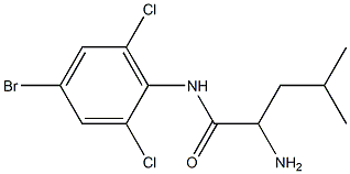 2-amino-N-(4-bromo-2,6-dichlorophenyl)-4-methylpentanamide Struktur