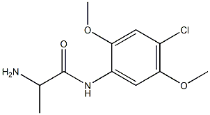 2-amino-N-(4-chloro-2,5-dimethoxyphenyl)propanamide Struktur