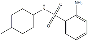 2-amino-N-(4-methylcyclohexyl)benzenesulfonamide Struktur