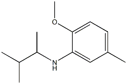 2-methoxy-5-methyl-N-(3-methylbutan-2-yl)aniline Struktur