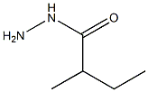 2-methylbutanohydrazide Struktur